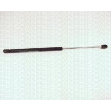 8710 25202 TRIDON Gas spring rear