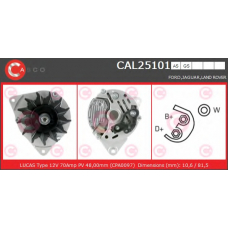 CAL25101GS CASCO Генератор