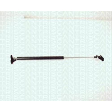 8710 13234 TRIDON Gas spring rear