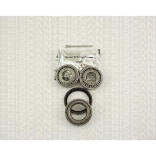 8530 10201 TRIDON Wheel bearing kit