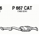 P667CAT