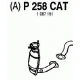 P258CAT