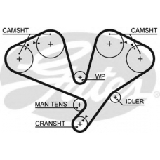 5353XS GATES Ремень ГРМ