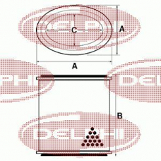 AF20009 DELPHI 