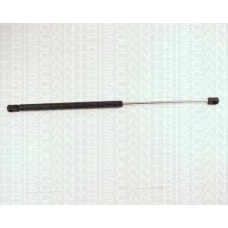 8710 29106 TRIDON Gas spring front