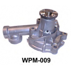 WPM-009 ASCO Водяной насос
