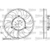 698611 VALEO Вентилятор, охлаждение двигателя