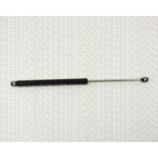 8710 1114 TRIDON Gas spring rear