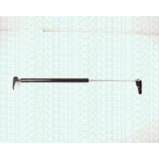 8710 13232 TRIDON Gas spring rear