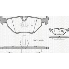 8110 11009 TRIDON Brake pads - rear