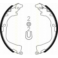 8100 29003 TRISCAN Комплект тормозных колодок