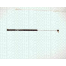 8710 14205 TRIDON Gas spring rear