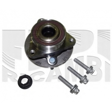 RC4491 CALIBER Комплект подшипника ступицы колеса