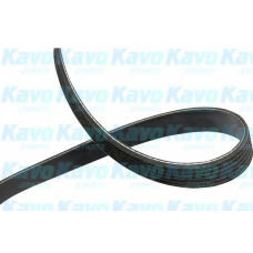 DMV-3042 KAVO PARTS Поликлиновой ремень