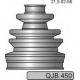 QJB450