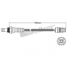 250-241039 WALKER Лямбда-зонд