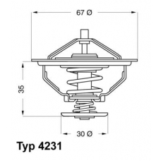 4231.80D WAHLER Термостат, охлаждающая жидкость