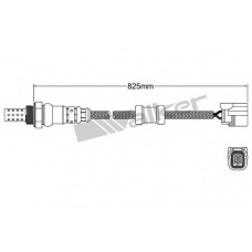 250-24856 WALKER Лямбда-зонд