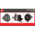 CAL30189 CASCO Генератор