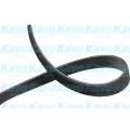 DMV-9086 KAVO PARTS Поликлиновой ремень