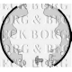 BBS6088<br />BORG & BECK