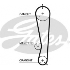 5591XS GATES Ремень ГРМ