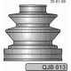 QJB613