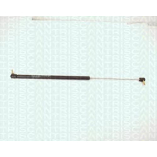 8710 14206 TRIDON Gas spring rear