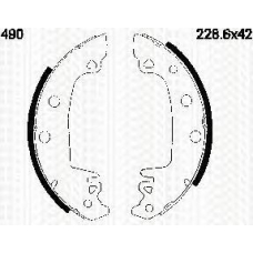 8100 10490 TRIDON Brake shoes