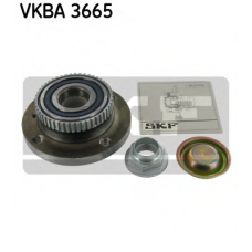 VKBA 3665 SKF Комплект подшипника ступицы колеса