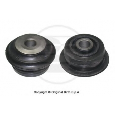 2169 BIRTH Подвеска, рычаг независимой подвески колеса