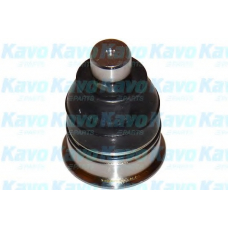 SBJ-6528 KAVO PARTS Несущий / направляющий шарнир