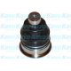 SBJ-6528<br />KAVO PARTS