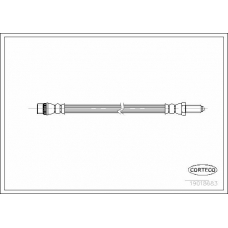 19018683 CORTECO Тормозной шланг