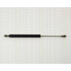 8710 11104 TRIDON Gas spring front