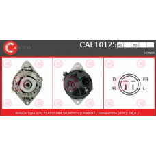 CAL10125RS CASCO Генератор