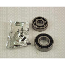 8530 41201 TRIDON Wheel bearing kit