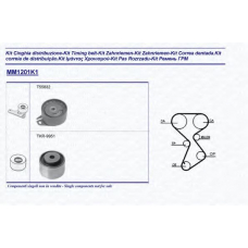 341312011101 MAGNETI MARELLI Комплект ремня грм
