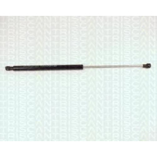 8710 25222 TRIDON Gas spring rear