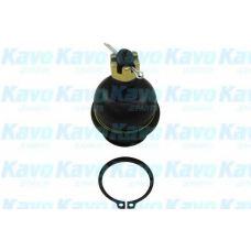 SBJ-6555 KAVO PARTS Несущий / направляющий шарнир