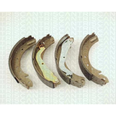 8100 14596 TRIDON Brake shoes