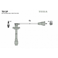 T613P TESLA Комплект проводов зажигания