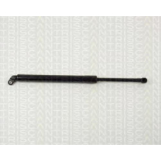 8710 11208 TRIDON Gas spring rear