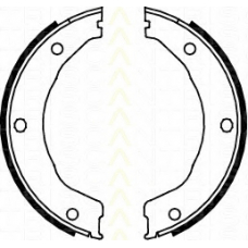 8100 10030 TRISCAN Комплект тормозных колодок, стояночная тормозная с