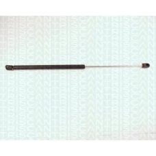 8710 28207 TRIDON Gas spring rear