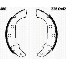 8100 10489 TRIDON Brake shoes