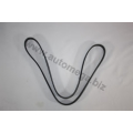 3163400600 AUTOMEGA Поликлиновой ремень