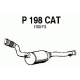 P198CAT