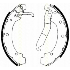 8100 29004 TRISCAN Комплект тормозных колодок