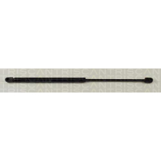 8710 29246 TRIDON Gas spring rear